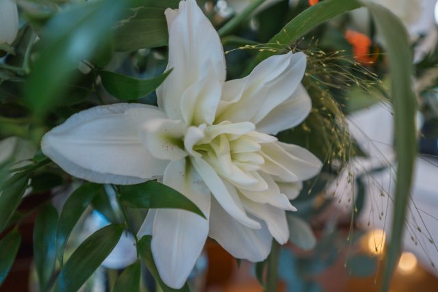 Alex Jones Funeral Directors - White Lilly flower